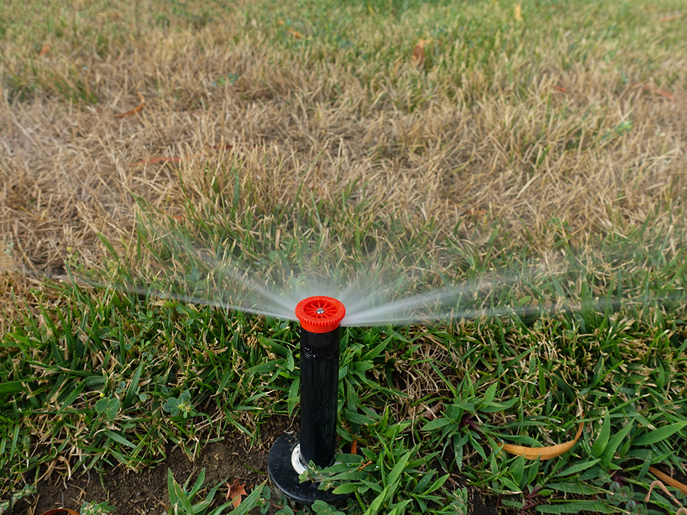 Texas Drought