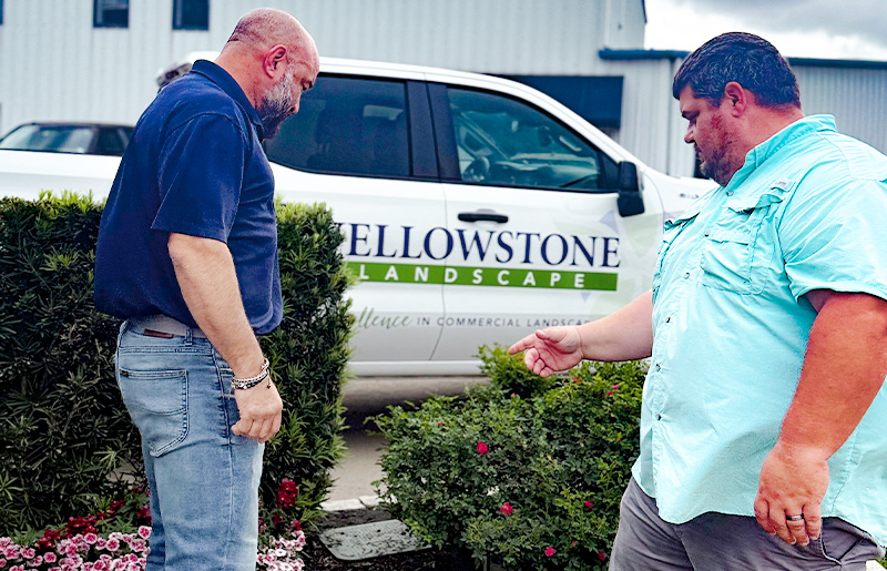 Clay Morris of Yellowstone Landscaping